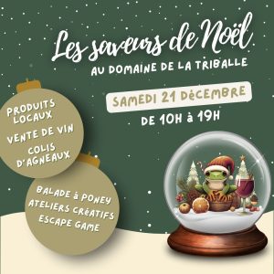 Affiche de marché de noel avec un fond vert un boule à neige avec une rainette avec un chapeau de noel et un verre de vin. On voit les inscription "les saveurs de Noël"
