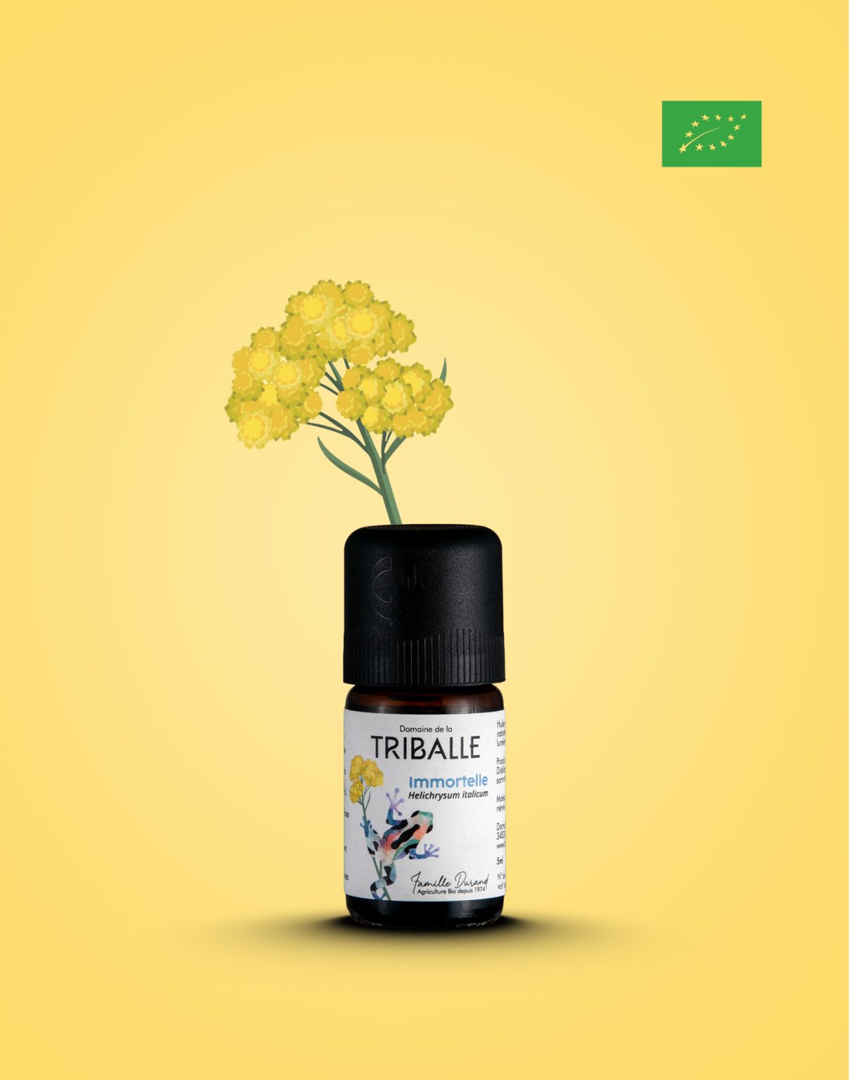 huile essentielle d'immortelle