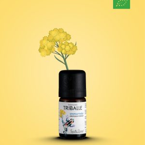 huile essentielle d'immortelle