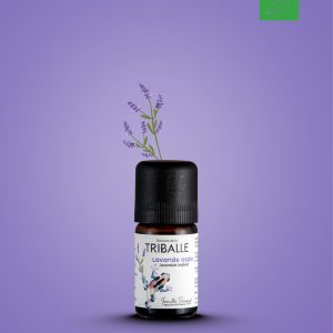 hydrolat de lavande aspic