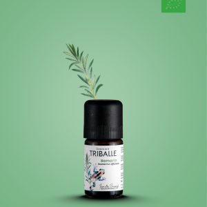 huile essentielle de romarin