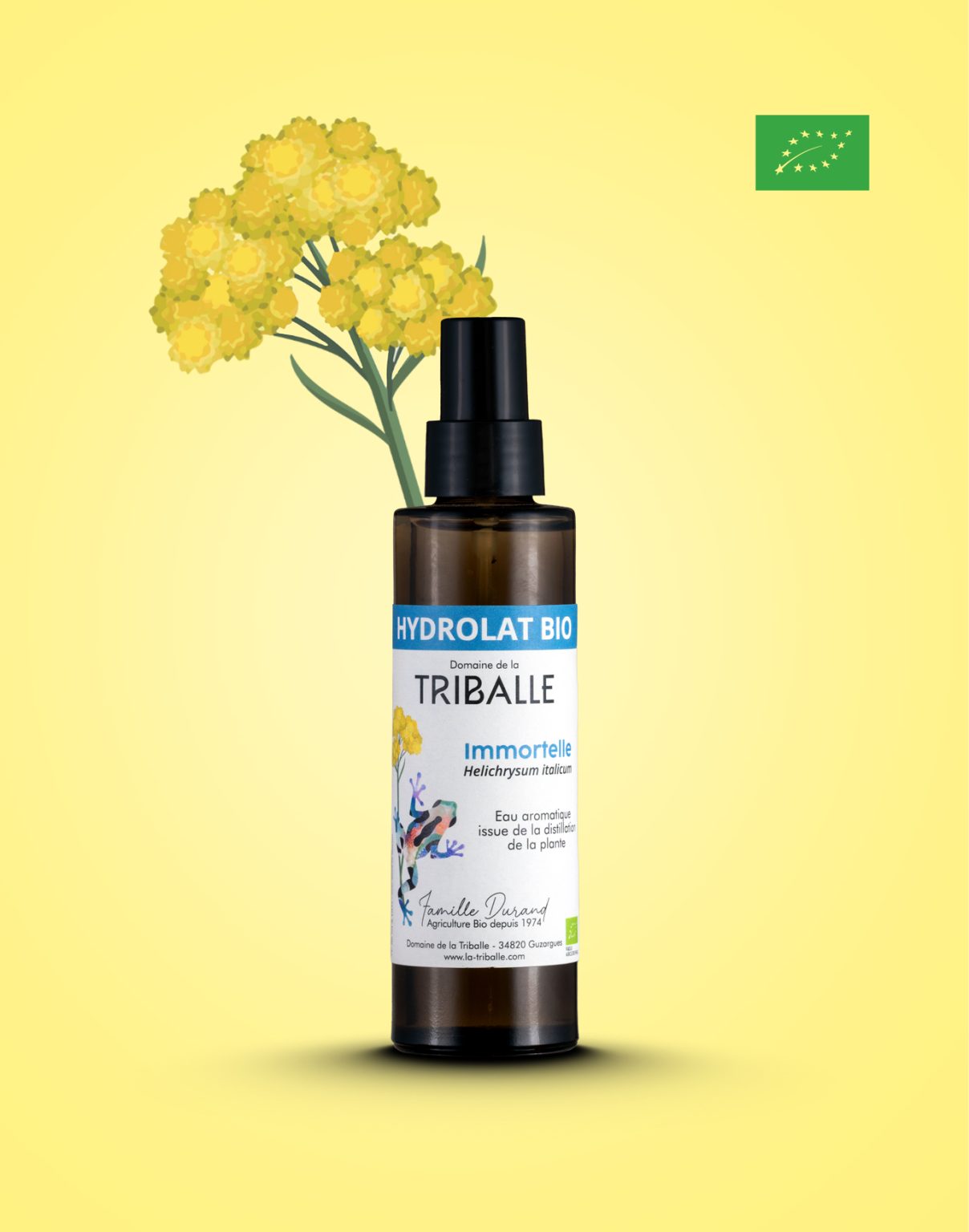 hydrolat d'immortelle
