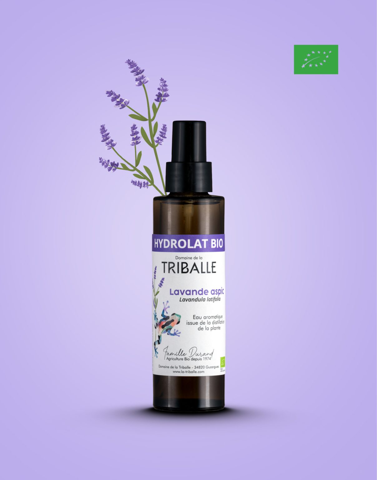 hydrolat de lavande aspic