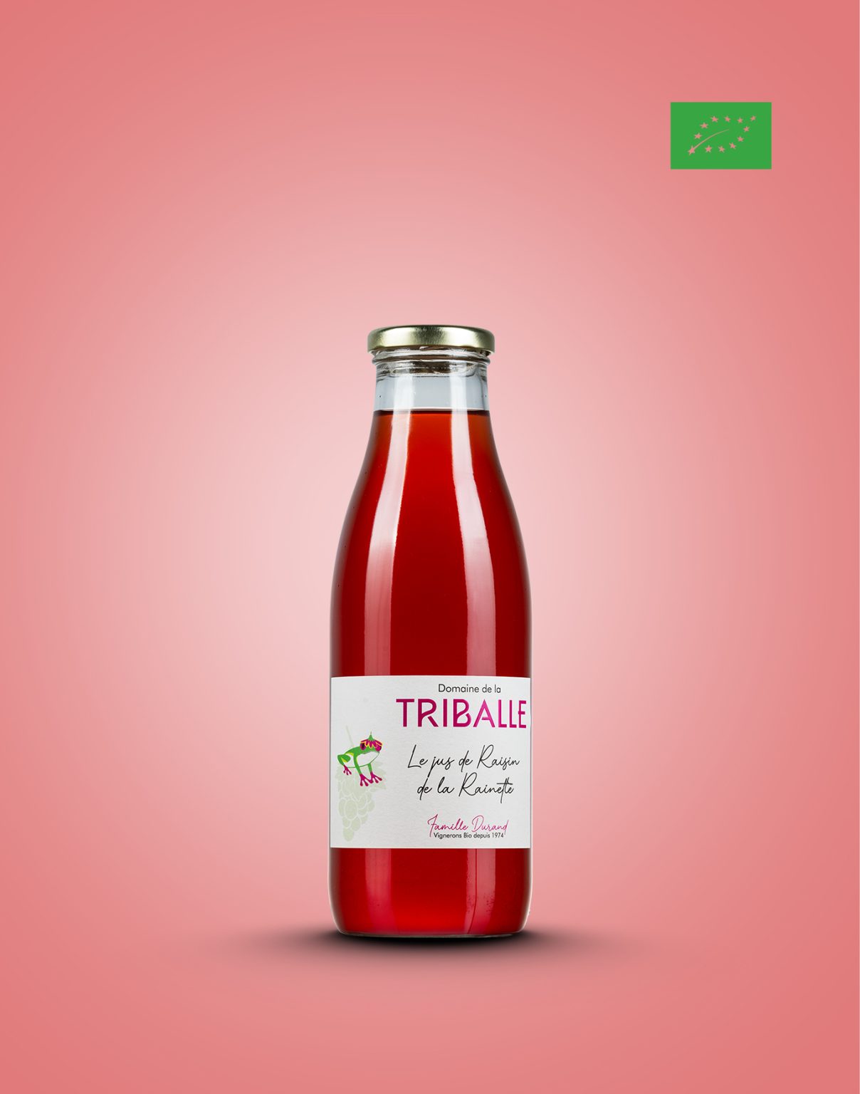 le vinaigre de la rainette – fleur de sureau