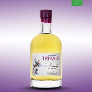 la rainette citronnée