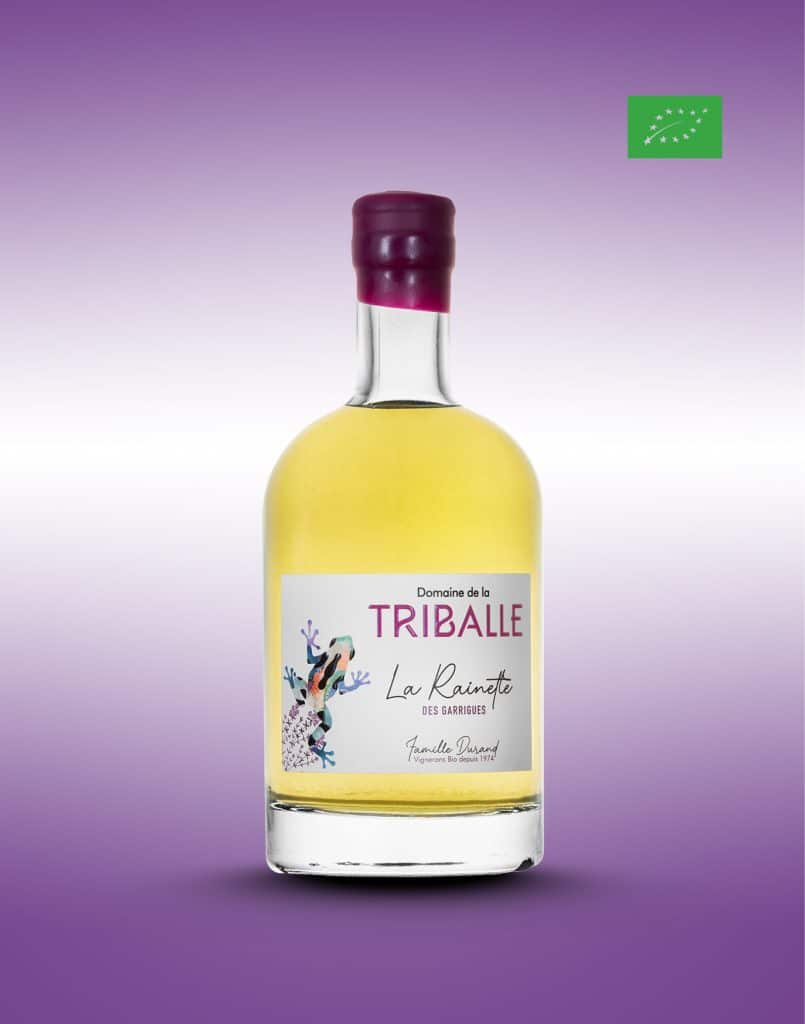 la rainette citronnée