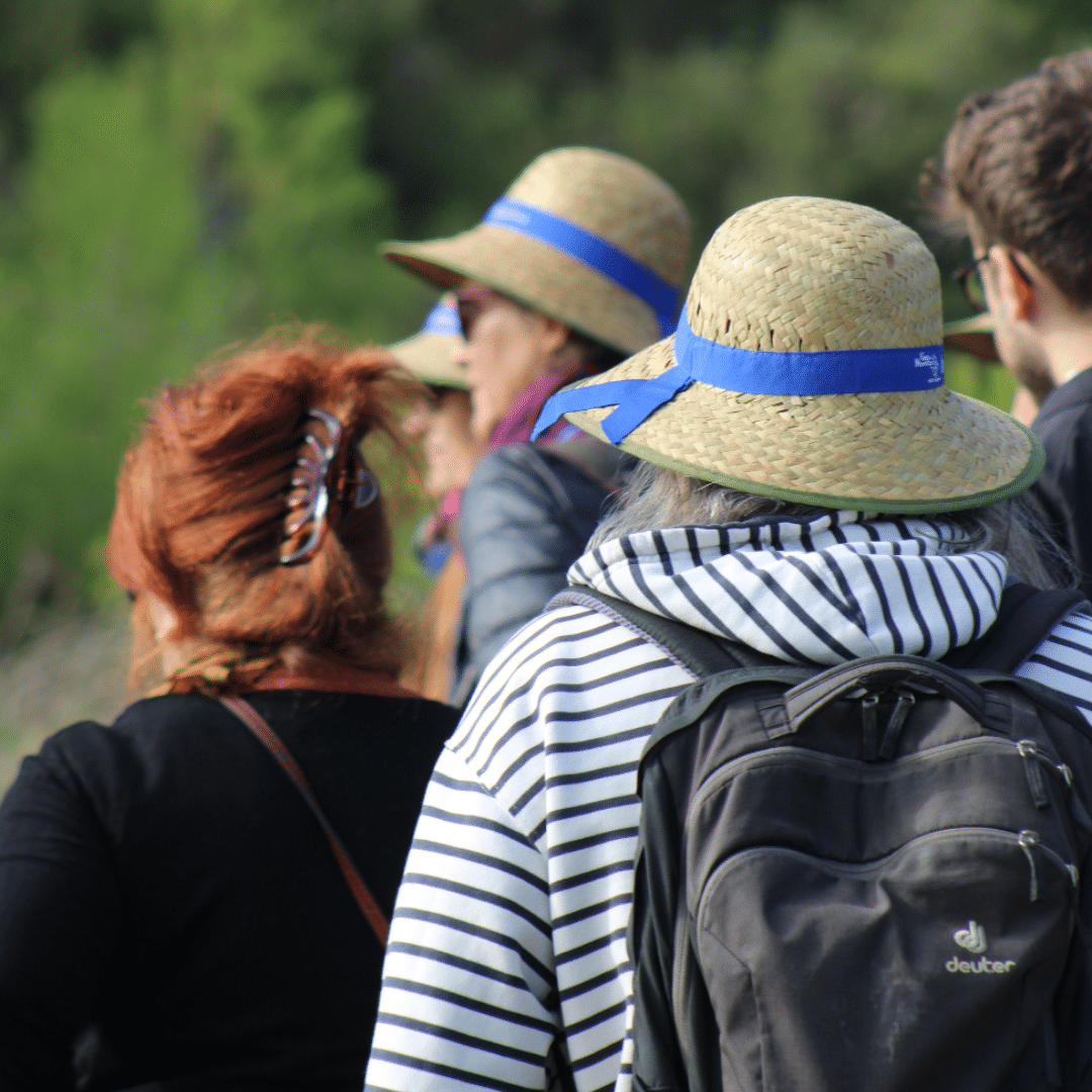 balade-vigne-domaine-de la triballe