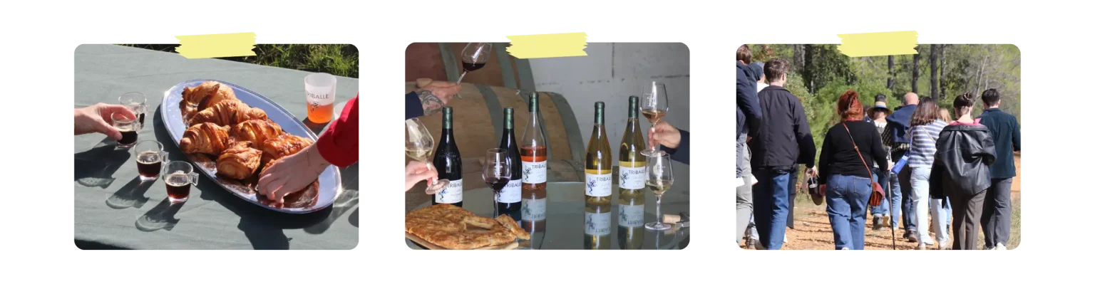 photos team building