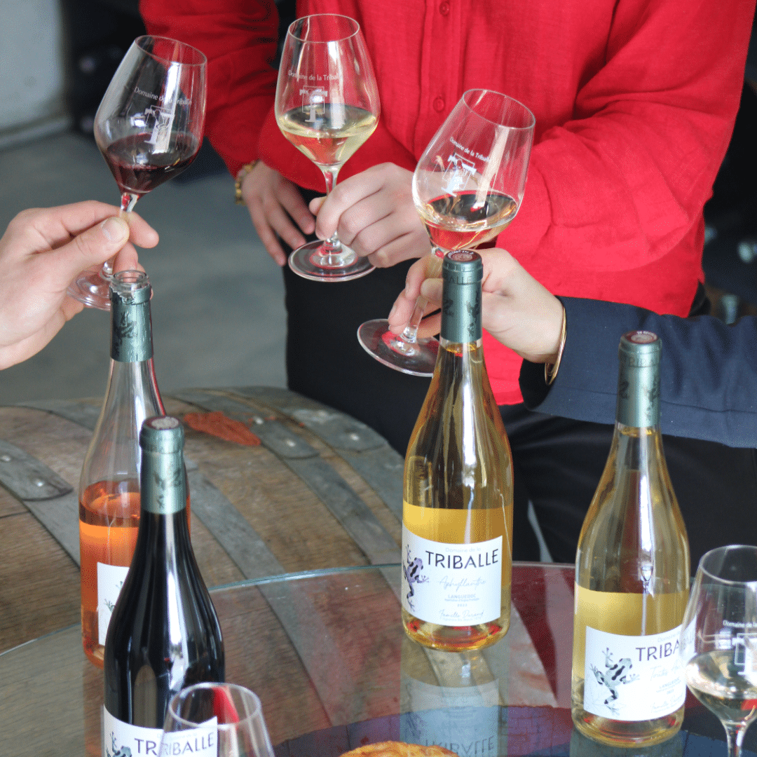 atelier dégustation montpellier